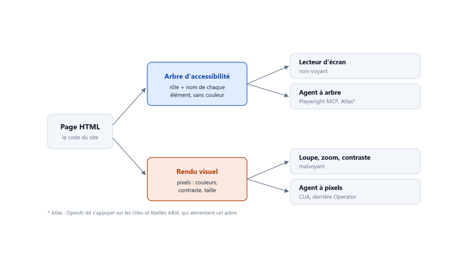 Schéma : une page HTML se lit par deux canaux, l'arbre d'accessibilité (lecteurs d'écran, agents à arbre) et le rendu visuel (malvoyants, agents à pixels)