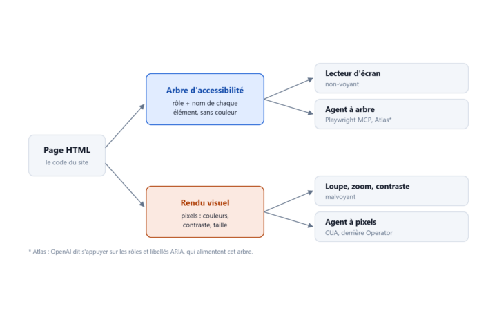 Schéma : une page HTML se lit par deux canaux, l'arbre d'accessibilité (lecteurs d'écran, agents à arbre) et le rendu visuel (malvoyants, agents à pixels)